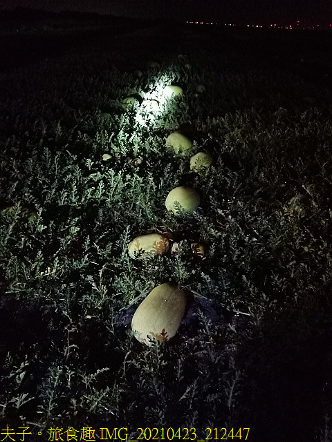 IMG_20210423_212447.jpg - 彰化媽潦溪 20210423