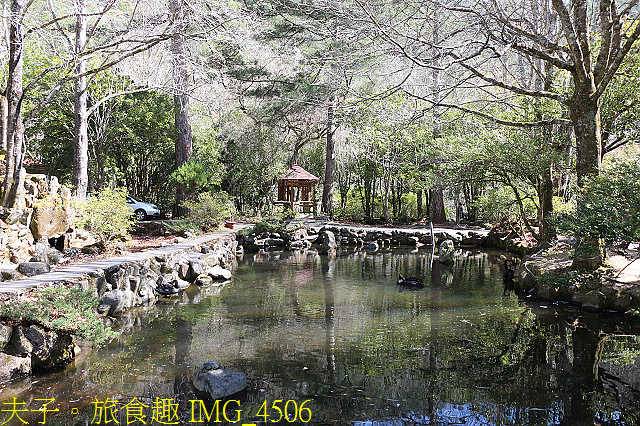 IMG_4506.jpg - 2021年 武陵農場 山櫻花、紅粉佳人 繽紛綻放 20210214