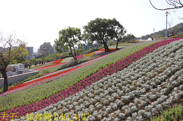 IMG_4107.jpg - 北投社三層崎公園「台版富良野花海」20210203