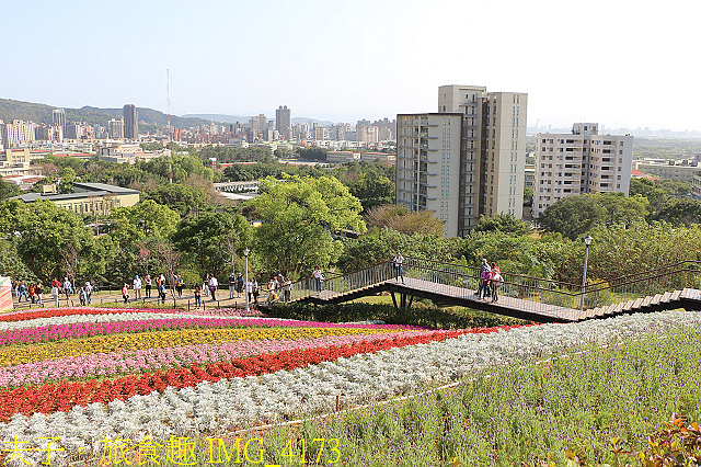 IMG_4173.jpg - 北投社三層崎公園「台版富良野花海」20210203