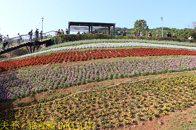 IMG_4247.jpg - 北投社三層崎公園「台版富良野花海」20210203