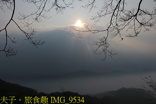 IMG_9534.jpg - 苗栗三義 柏竺山莊 牛奶森林 竺光綠廊步道秘境 20201026