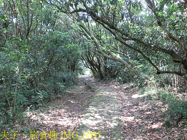 IMG_6095.jpg - 陽明山國家公園 面天山 - 向天山步道 向天池、向天山、面天山 20200916