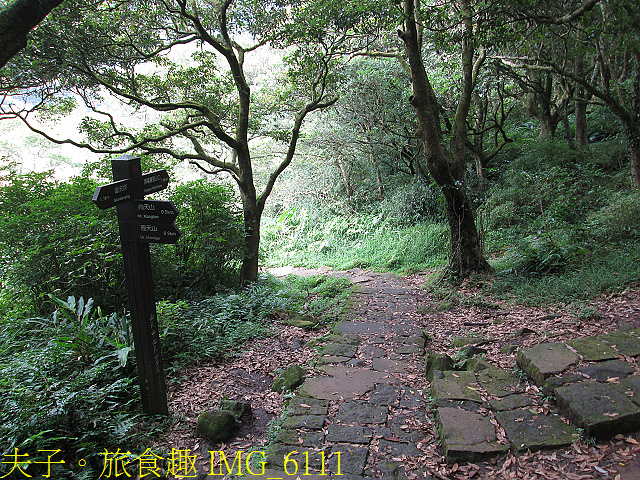 IMG_6111.jpg - 陽明山國家公園 面天山 - 向天山步道 向天池、向天山、面天山 20200916