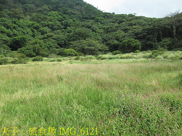 IMG_6121.jpg - 陽明山國家公園 面天山 - 向天山步道 向天池、向天山、面天山 20200916