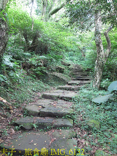 IMG_6132.jpg - 陽明山國家公園 面天山 - 向天山步道 向天池、向天山、面天山 20200916