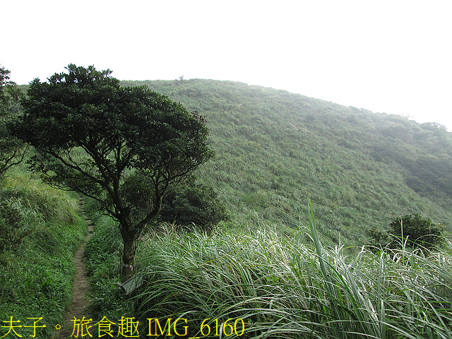 IMG_6160.jpg - 陽明山國家公園 面天山 - 向天山步道 向天池、向天山、面天山 20200916