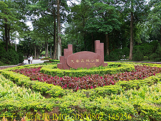 IMG_20200802_145256.jpg - 台北市大安森林公園 20200802