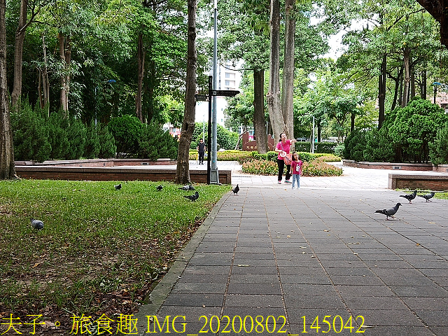 IMG_20200802_145042.jpg - 台北市大安森林公園 20200802