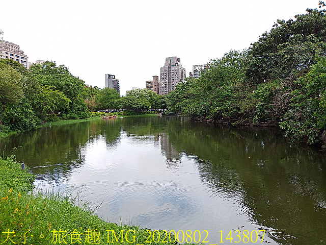 IMG_20200802_143807.jpg - 台北市大安森林公園 20200802