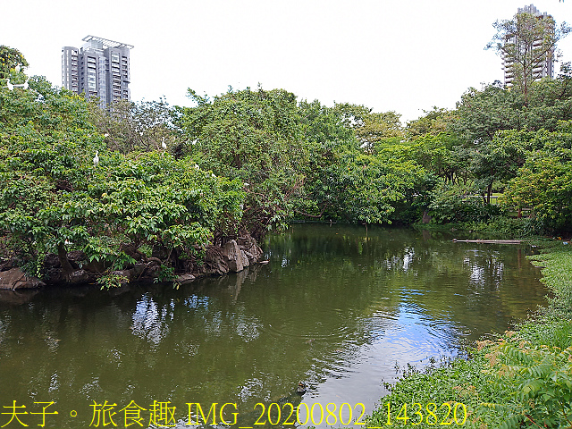 IMG_20200802_143820.jpg - 台北市大安森林公園 20200802