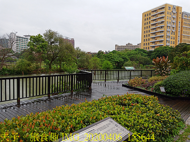 IMG_20200406_155644.jpg - 台灣大學生態池 複刻瑠公圳水源地 20200406