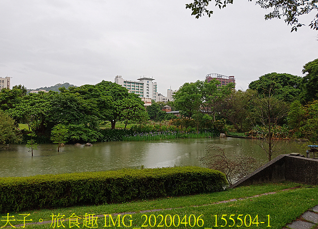 IMG_20200406_155504-1.jpg - 台灣大學生態池 複刻瑠公圳水源地 20200406