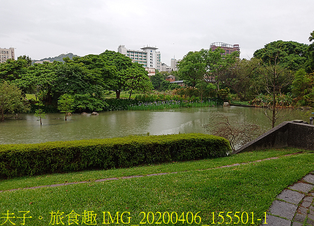 IMG_20200406_155501-1.jpg - 台灣大學生態池 複刻瑠公圳水源地 20200406