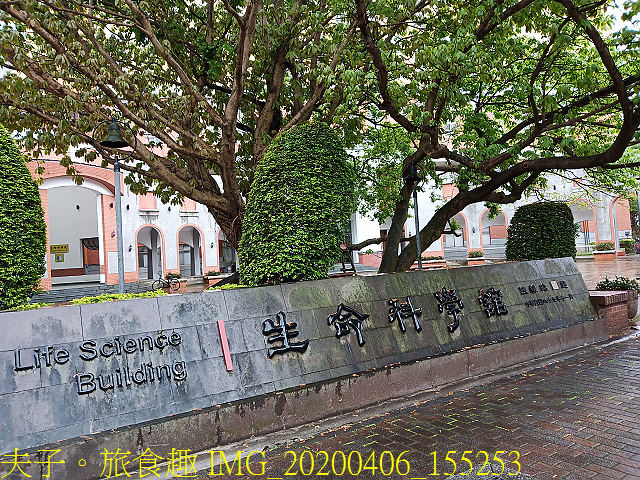 IMG_20200406_155253.jpg - 台灣大學生態池 複刻瑠公圳水源地 20200406