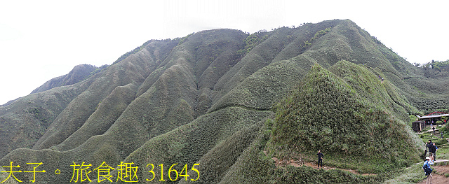 31645.jpg - 宜蘭礁溪 抹茶山 20200410