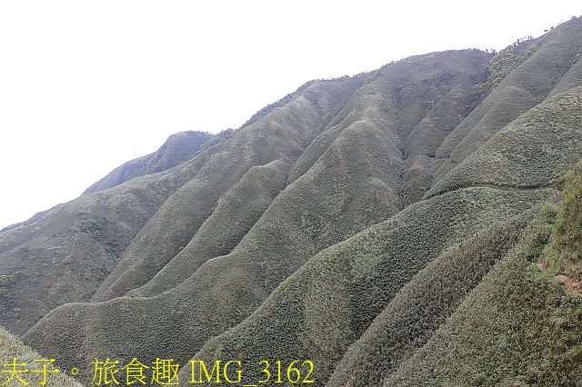 IMG_3162.jpg - 宜蘭礁溪 抹茶山 20200410