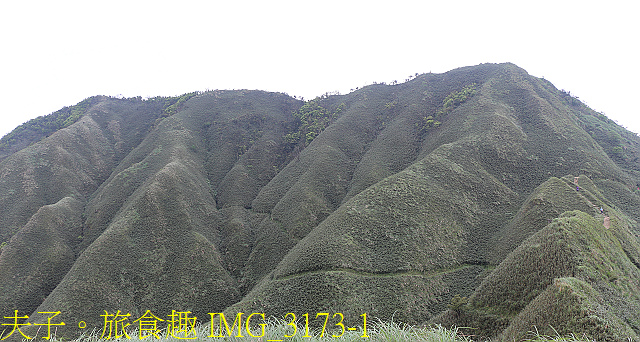 IMG_3173-1.jpg - 宜蘭礁溪 抹茶山 20200410