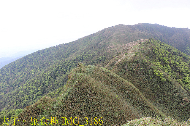 IMG_3186.jpg - 宜蘭礁溪 抹茶山 20200410