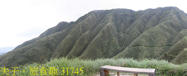 31745.jpg - 宜蘭礁溪 抹茶山 20200410