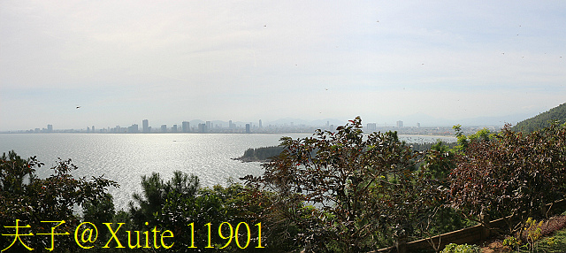 11901.jpg - 越南峴港 山茶半島 靈應寺 音像 20200124