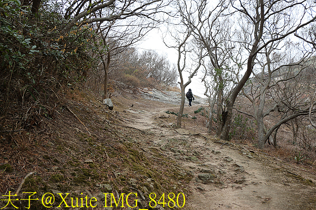 東莒魚路古道巡禮 由大坪走到大浦 拜訪64據點 IMG_8480.jpg - 東莒魚路古道 大浦 64據點 20191118