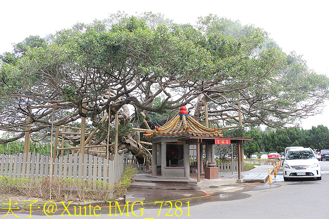 IMG_7281.jpg - 龍潭景點 桃園市客家文化館  三坑老街  三坑自然生態公園 北區水資源局大草坪  大溪石園路落羽松 