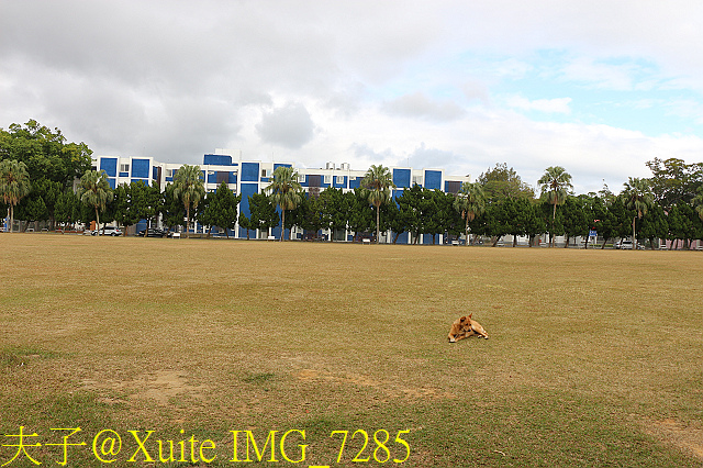 IMG_7285.jpg - 龍潭景點 桃園市客家文化館 三坑老街 三坑自然生態公園 北區水資源局大草坪 大溪石園路落羽松