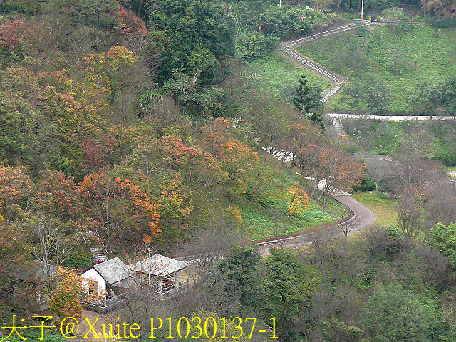 P1030137-1.jpg - 龍潭景點 桃園市客家文化館 三坑老街 三坑自然生態公園 北區水資源局大草坪 大溪石園路落羽松