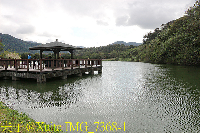 IMG_7368-1.jpg - 龍潭景點 桃園市客家文化館 三坑老街 三坑自然生態公園 北區水資源局大草坪 大溪石園路落羽松