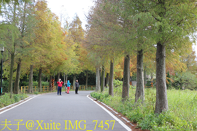 IMG_7457.jpg - 龍潭景點 桃園市客家文化館 三坑老街 三坑自然生態公園 北區水資源局大草坪 大溪石園路落羽松