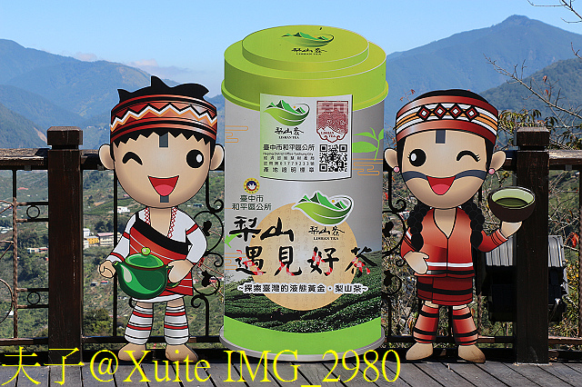 梨山 藏茶 梨山好茶手自封  海拔2000公尺的品茗茶會