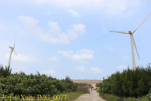 2019桃園農業博覽會 農博小旅行 深度探索桃園的美好 IMG_0077.jpg - 桃園觀音草漯沙丘 20190920