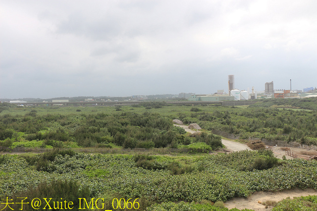 2019桃園農業博覽會 農博小旅行 深度探索桃園的美好 IMG_0066.jpg - 桃園觀音草漯沙丘 20190920