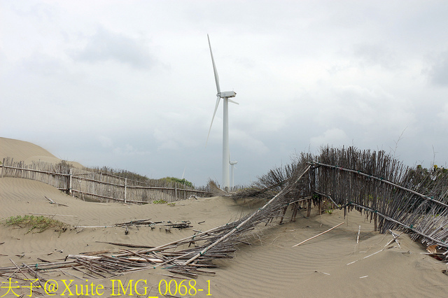 2019桃園農業博覽會 農博小旅行 深度探索桃園的美好 IMG_0068-1.jpg - 桃園觀音草漯沙丘 20190920