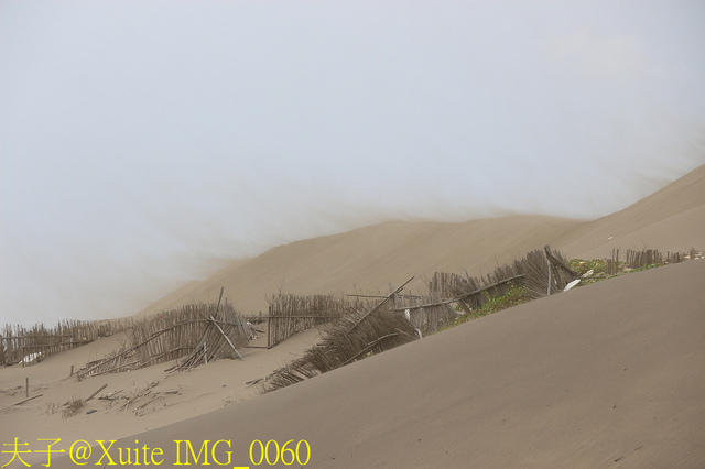 2019桃園農業博覽會 農博小旅行 深度探索桃園的美好 IMG_0060.jpg - 桃園觀音草漯沙丘 20190920