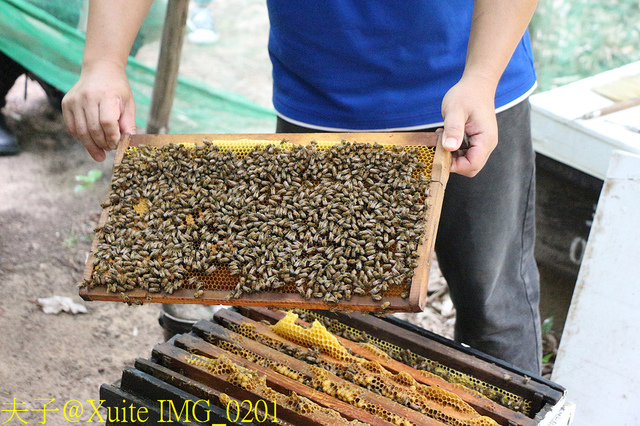 2019桃園農業博覽會 農博小旅行 深度探索桃園的美好 2019桃園農業博覽會 農博小旅行 深度探索桃園的美好