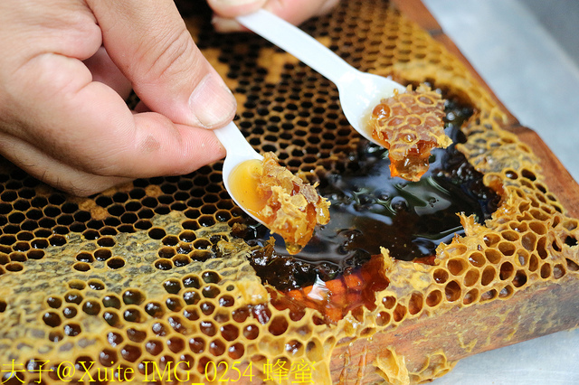 2019桃園農業博覽會 農博小旅行 深度探索桃園的美好 IMG_0254 蜂蜜.jpg - 三奇蜜蜂生態農園 20190920