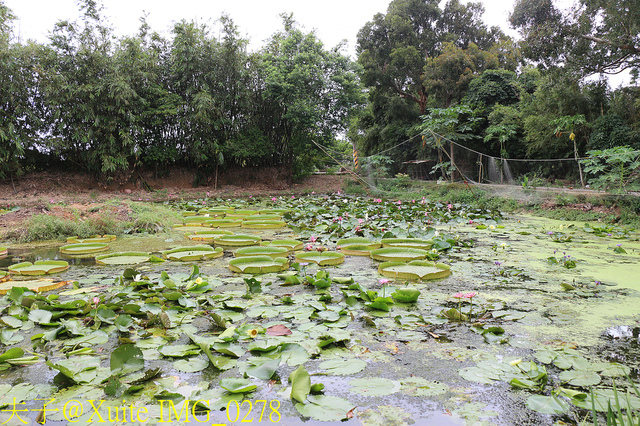 2019桃園農業博覽會 農博小旅行 深度探索桃園的美好 IMG_0278.jpg - 三奇蜜蜂生態農園 20190920