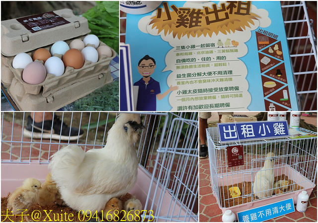 2019桃園農業博覽會 農博小旅行 深度探索桃園的美好 09416826873.jpg - 三奇蜜蜂生態農園 20190920