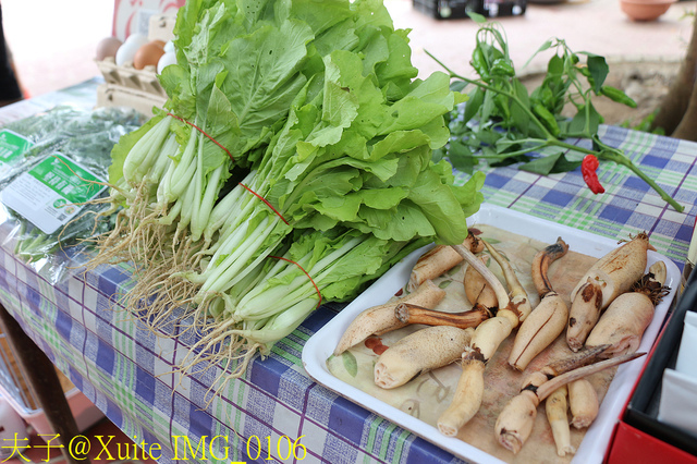 2019桃園農業博覽會 農博小旅行 深度探索桃園的美好 IMG_0106.jpg - 三奇蜜蜂生態農園 20190920