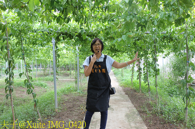 2019桃園農業博覽會 農博小旅行 深度探索桃園的美好 IMG_0420.jpg - 陽榮休閒農場 20190920