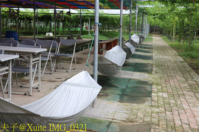 2019桃園農業博覽會 農博小旅行 深度探索桃園的美好 IMG_0321.jpg - 陽榮休閒農場 20190920