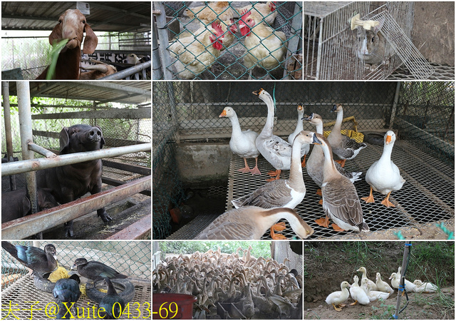 2019桃園農業博覽會 農博小旅行 深度探索桃園的美好 0433-69.jpg - 陽榮休閒農場 20190920