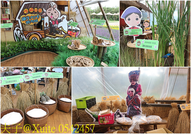 2019桃園農業博覽會 農博小旅行 深度探索桃園的美好 0542457.jpg - 2019桃園農業博覽會 20190920
