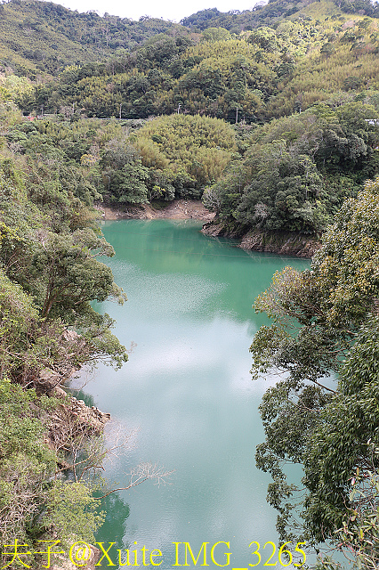 IMG_3265.jpg - 石門水庫石秀灣高遶天空吊橋 20190129