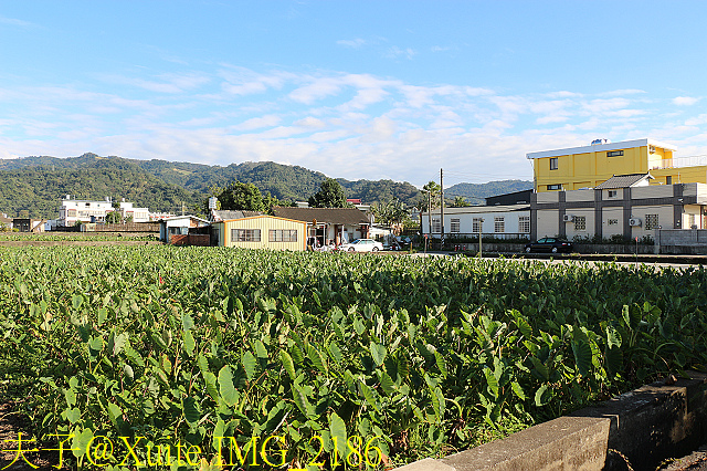 IMG_2186.jpg - 苗栗公館黃金小鎮 20181214