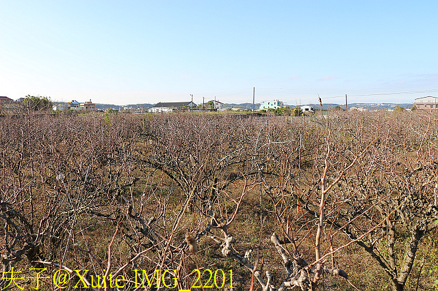 IMG_2201.jpg - 苗栗公館黃金小鎮 20181214