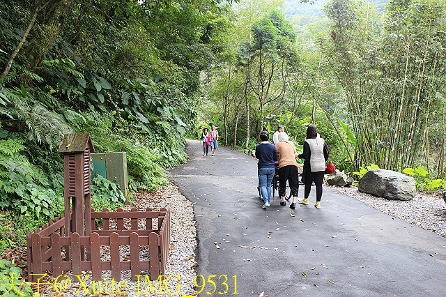 內洞瀑布 負離子芬多精瀰漫 全台最美的瀑布 內洞瀑布 負離子芬多精瀰漫 全台最美的瀑布