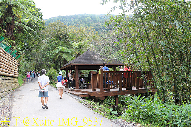 內洞瀑布 負離子芬多精瀰漫 全台最美的瀑布 IMG_9537.jpg - 烏來 內洞森林遊樂區 內洞瀑布 20181121